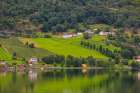 Norway, Norwegian Fjords, red barns, green countryside. Art Print